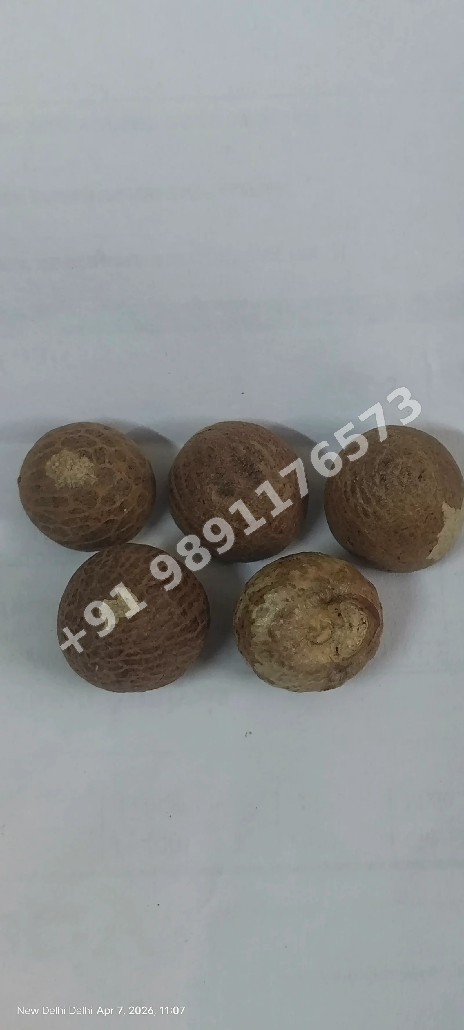 Supari Beetel Nut Areca Nut